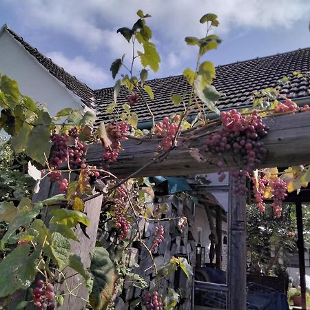 Gemuetlichkeit Am Vierkanthof - Apartment 2 Worterberg Eksteriør billede
